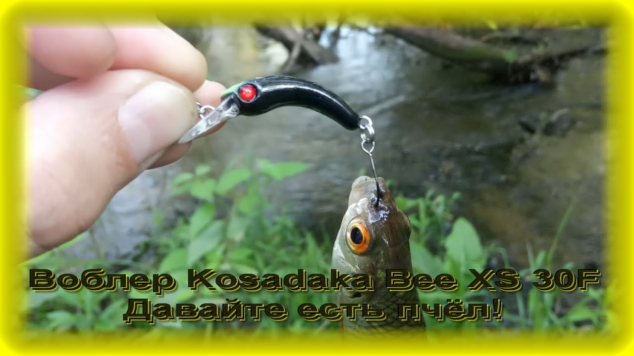 FishComm Shop: Воблер Kosadaka Bee XS 30F. Давайте есть пчёл!