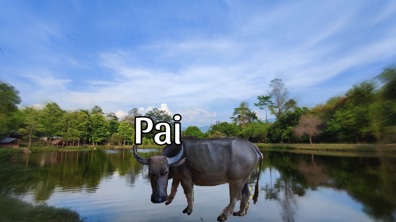 Northern Thailand's Best Lovely Town, Exploring Pai 🇹🇭