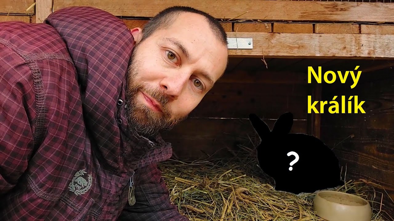Nový králíček do chovu