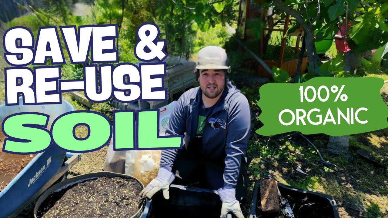 How To Re-Amend Large Pots! Add Nutrients & Minerals Outside the Build a Soil way