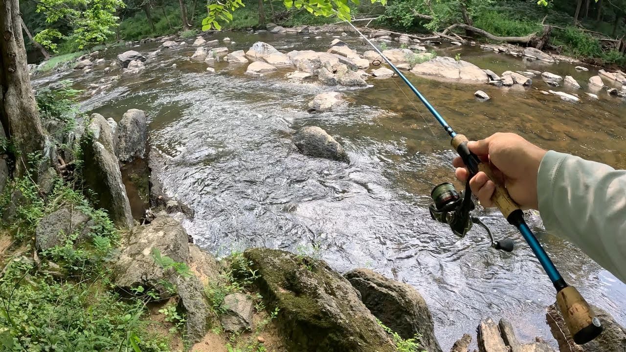 Hunting For RARE Species in a Super Clear River!