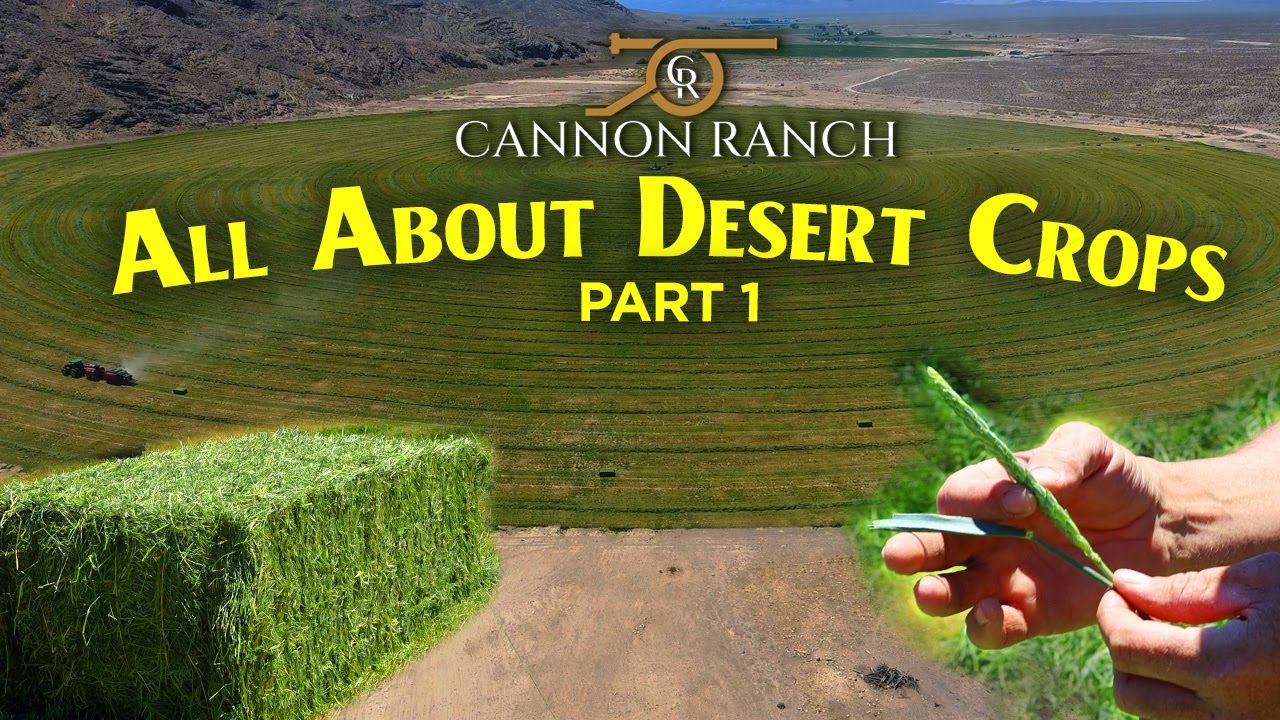 Hay and Double Cropping. Farming in the Nevada Desert