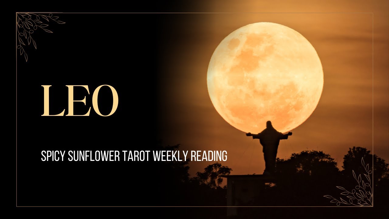 Leo//Weekly Tarot Readings//Feb 2026//Spicy Sunflower Tarot