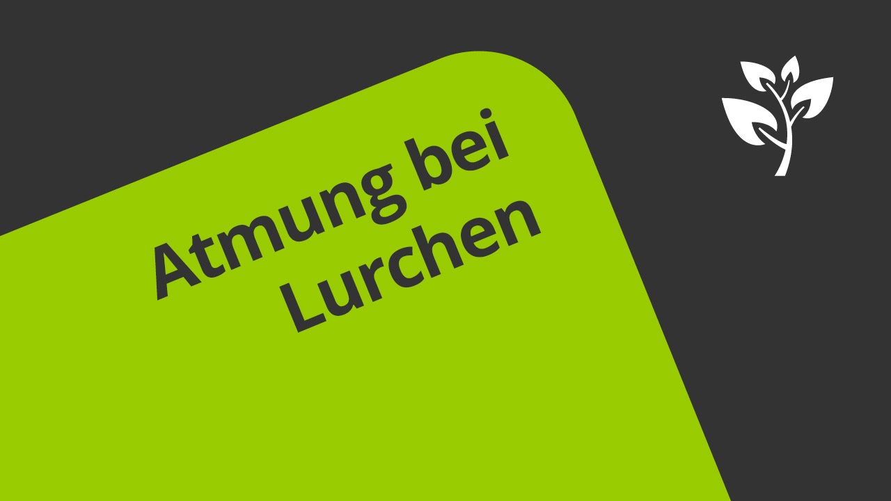 Lungenatmung und Hautatmung bei Lurchen | Biologie | Biologie der Tiere (Mittelstufe)