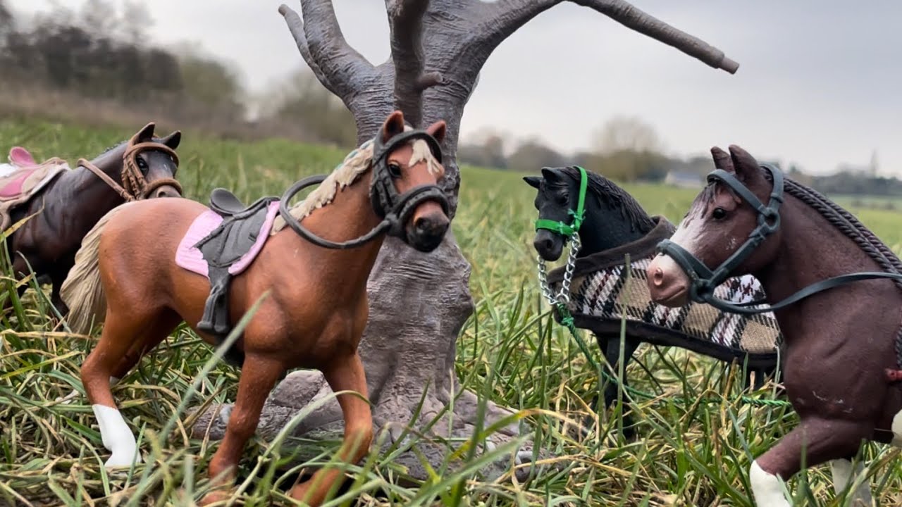 Runaway Racehorse - Schleich horse series episode 3 | competition
