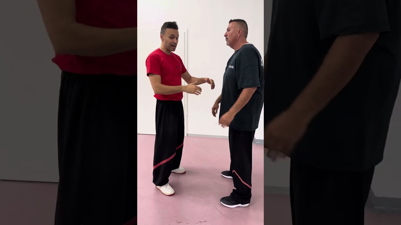 Application from the Biu Tze Chi Section / Leung Ting Wing Tsun