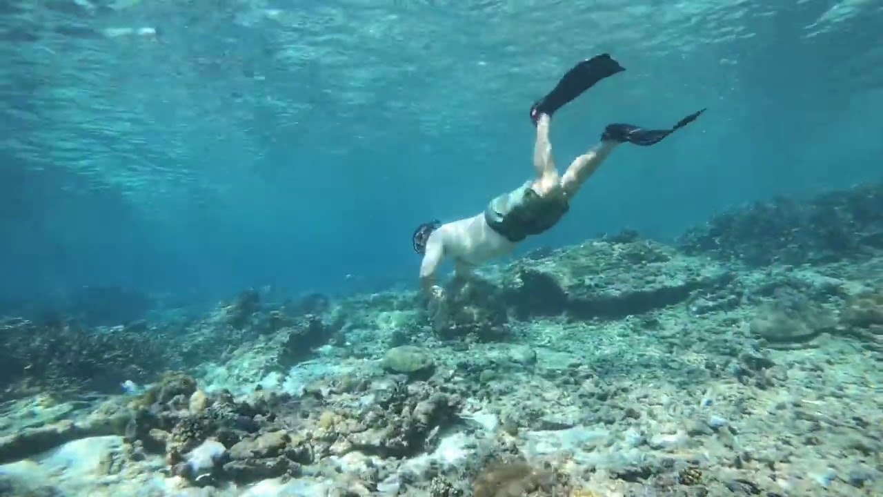 2018 7 Snorkeling at 2 Mile reef Bazaruto Islands (Mozambique)