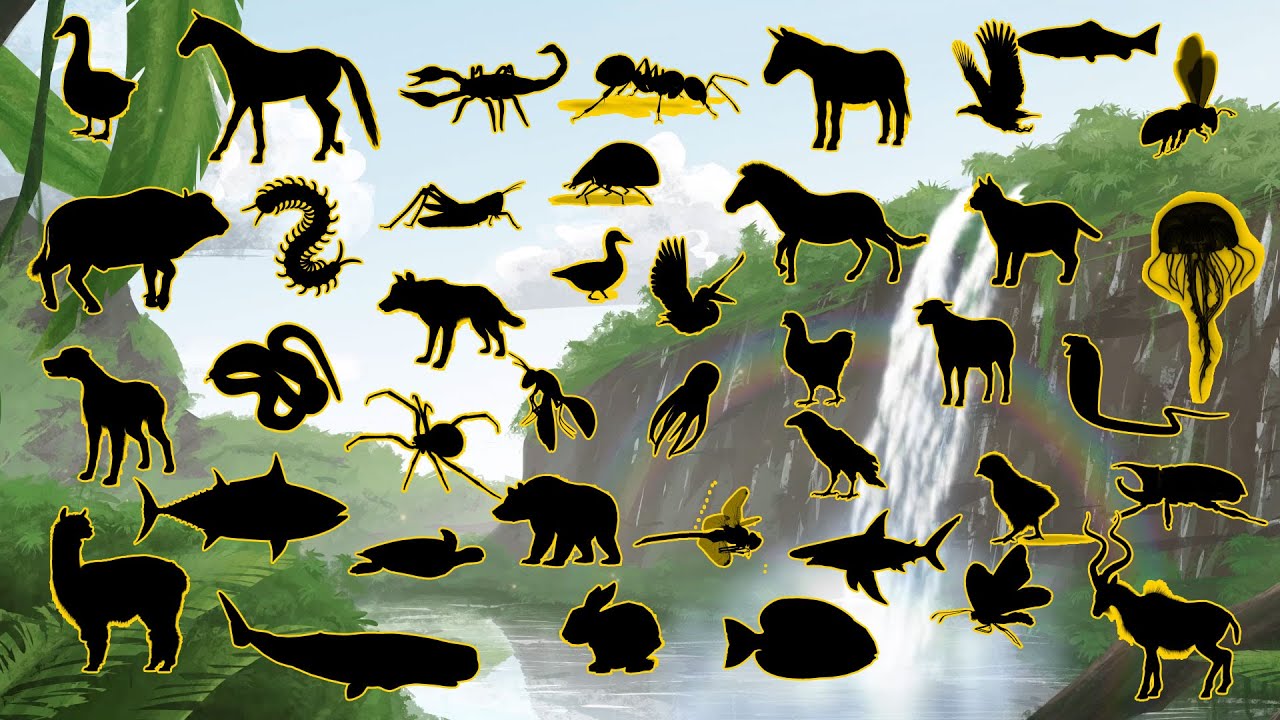 🐯✨ Adivinhe a Sombra dos 40 Animais – Você Consegue Acertar Todos? 😱🐾