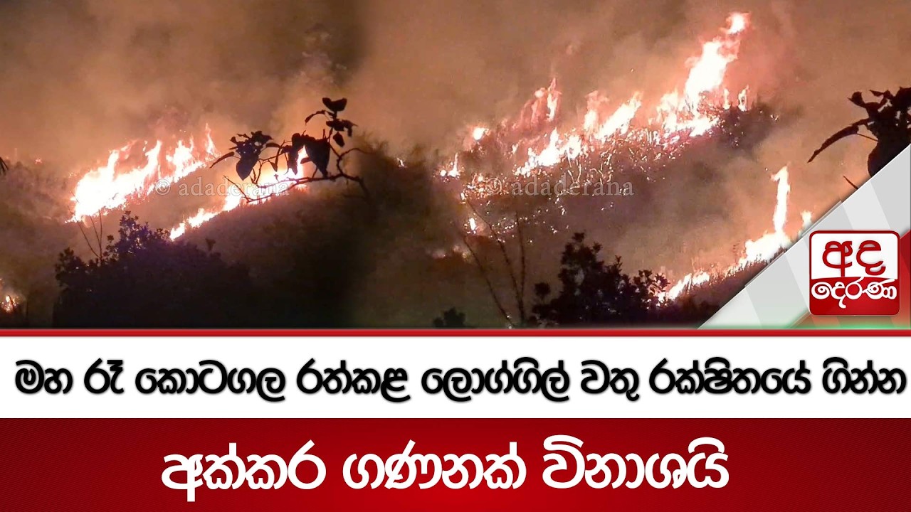 මහ රෑ කොටගල රත්කළ ලොග්ගිල් වතු රක්ෂිතයේ ගින්න - අක්කර ගණනක් විනාශයි  | Ada Derana