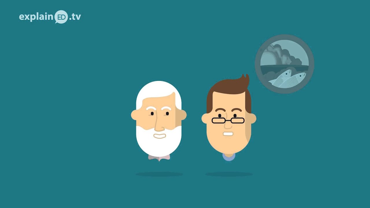 Doing the Stuff explainED by John Wimber - Swedish