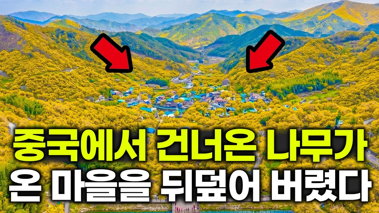와! 입이 다물어 지지 않습니다! 한국인이라면 꼭 가봐야할 시골 마을