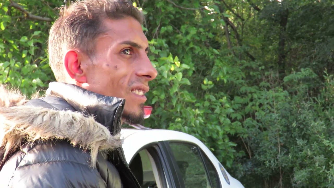 Poliția Rutieră Timiș a tăiat în carne vie