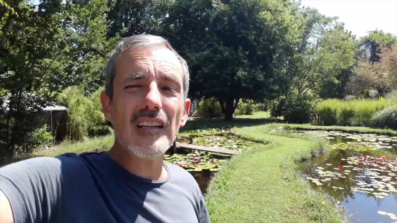 Pompe per laghetti e giardini acquatici