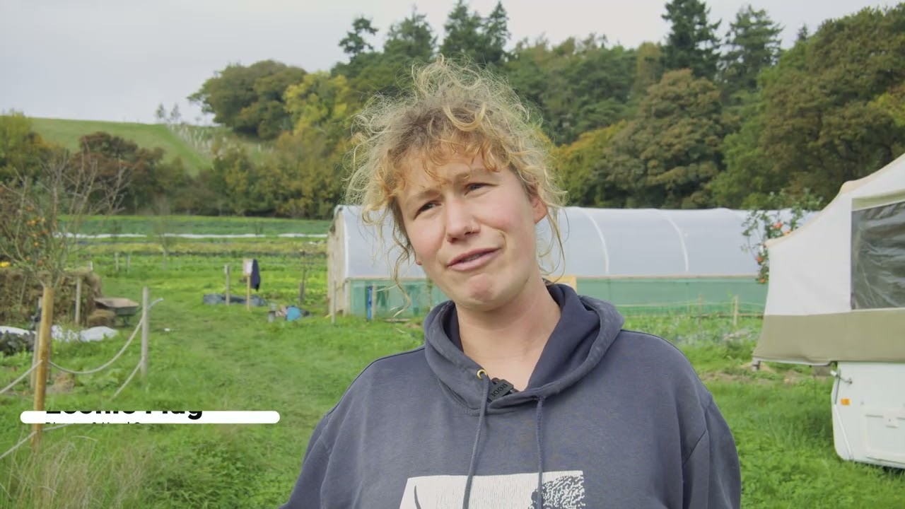 Oxen Park Farm, On the Hill & Teign Greens, 2025
