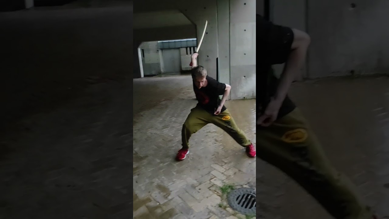 First Day with Bokken #katana #katana #short #shorts #bokken