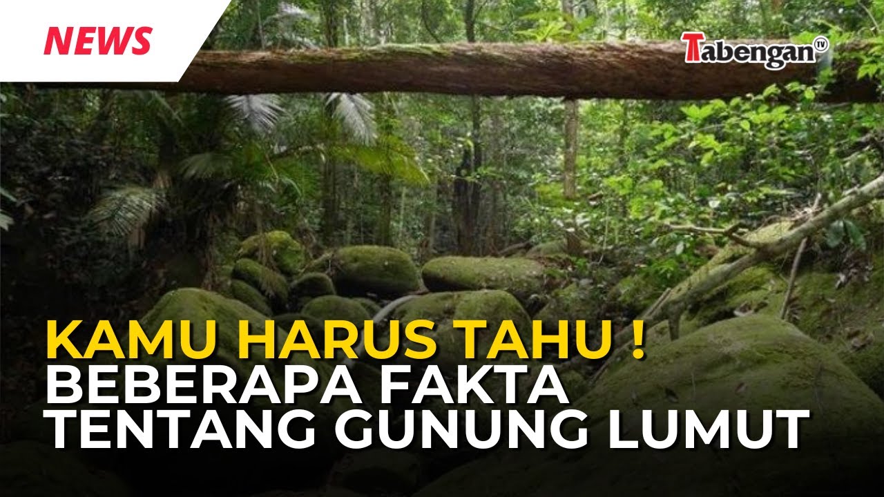KAMU HARUS TAHU ! BEBERAPA FAKTA TENTANG GUNUNG LUMUT
