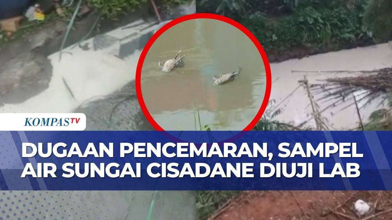 Sungai Cisadane Diduga Tercemar Limbah Kimia, DLH Ambil Sampel Air untuk Uji Lab