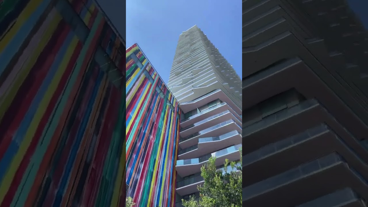 Brickell on Saturday #shorts  #miami #usa
