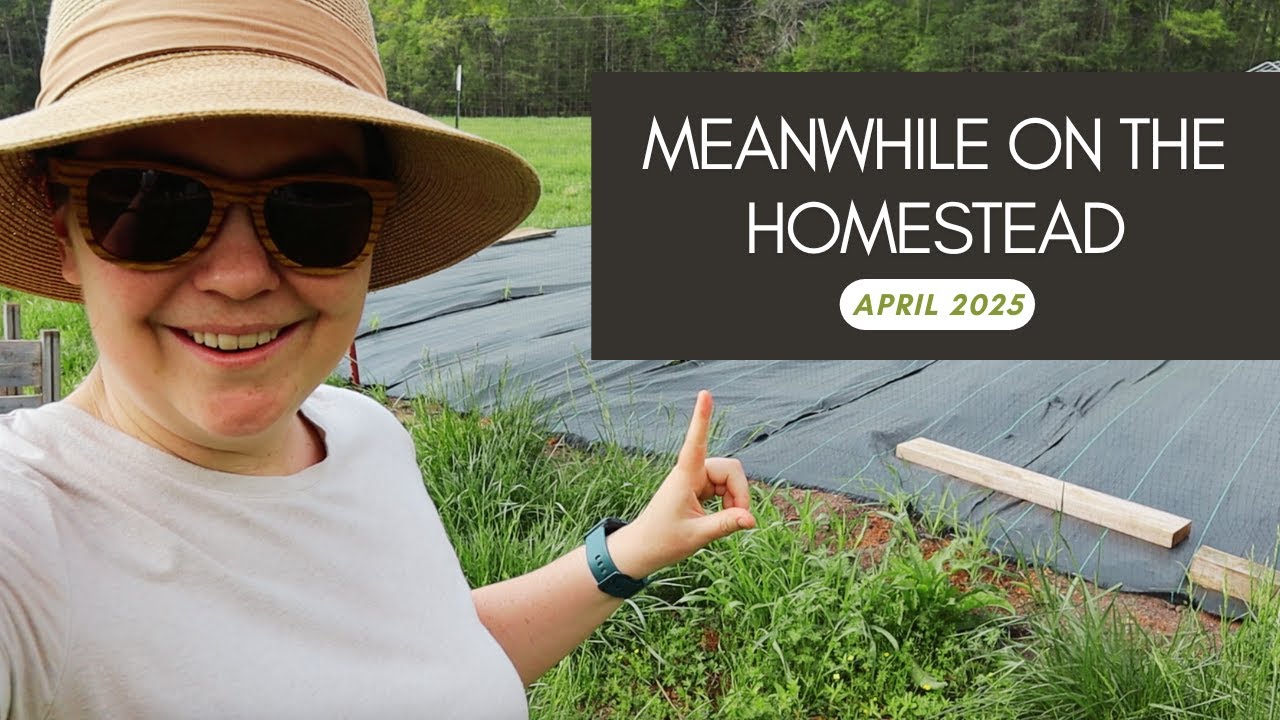 What's blooming and peeping? | Homestead Update