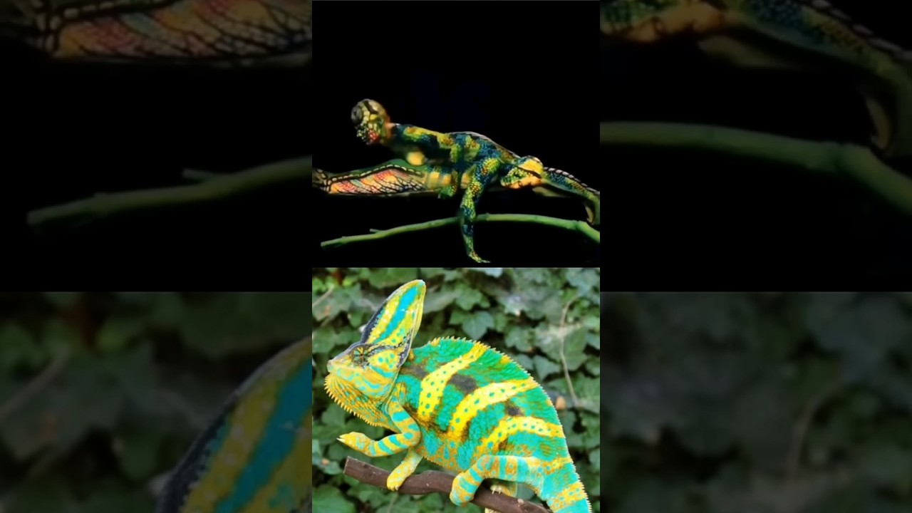 😱 🙈 Incredible work of art,2 Humans imitating the chameleon  in perfect synchronization