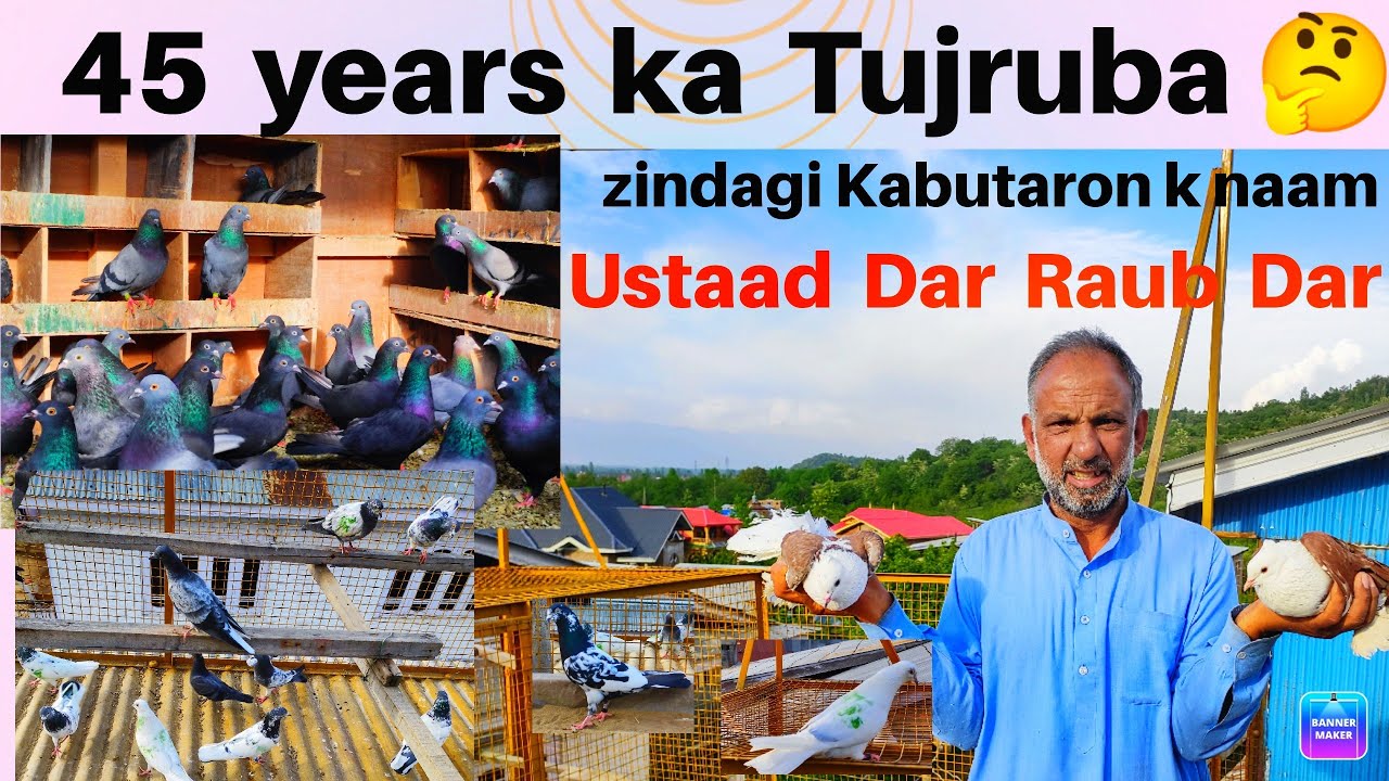 45 Years ka Tujruba 😲 | zindagi Kabutaron k naam | Ustaad Dar Raub Dar
