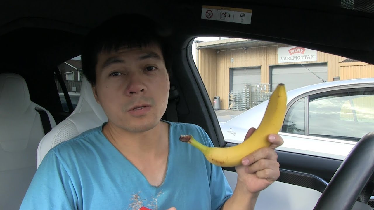 Teslabjørn's vlog 2017.07.03