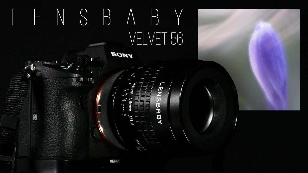 Lensbaby Lens Velvet 56 F1.6 Macro / Frühblüher Moody Effekt