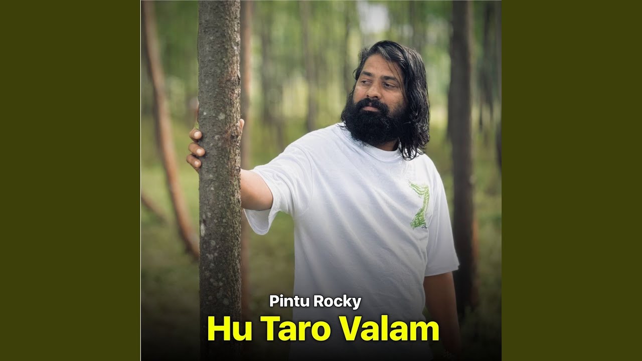 Hu Taro Valam