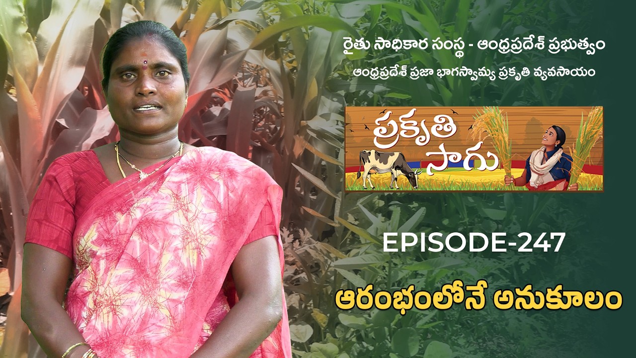 E247 | ఆరంభంలోనే అనుకూలం | ವಾಣಿ | కృష్ణా జిల్లా