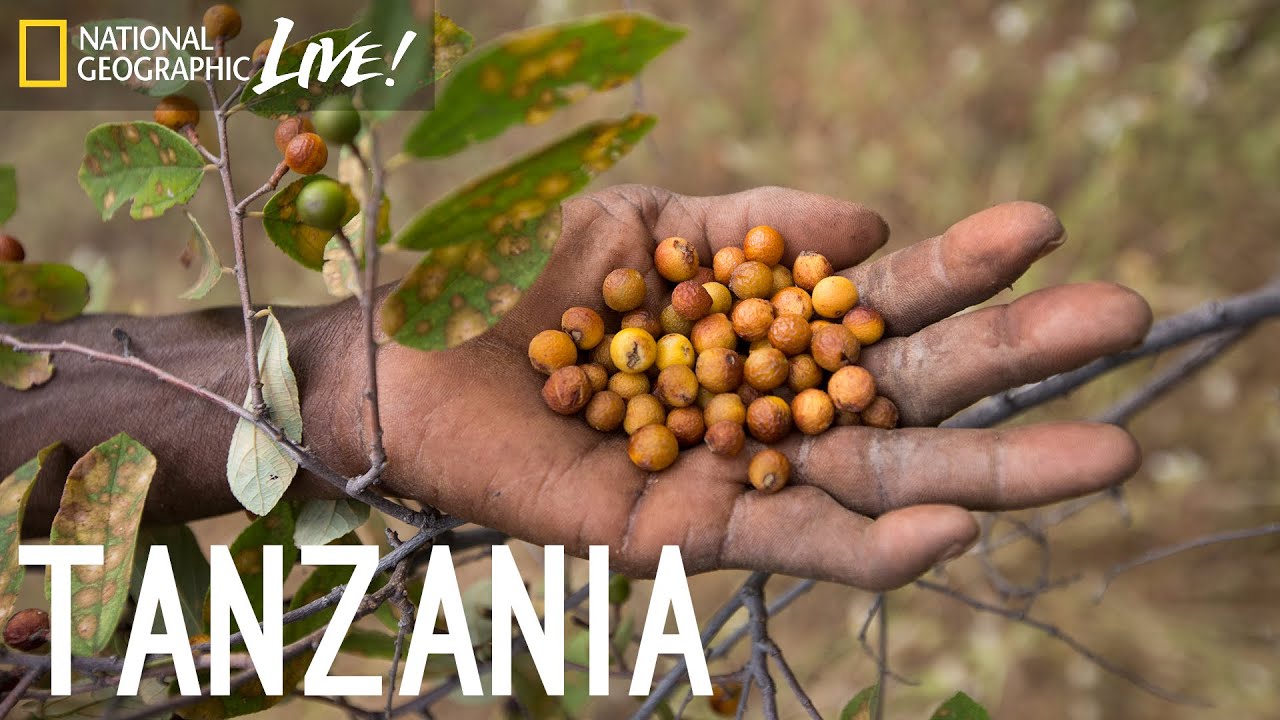 We Are What We Eat: Tanzania | Nat Geo Live