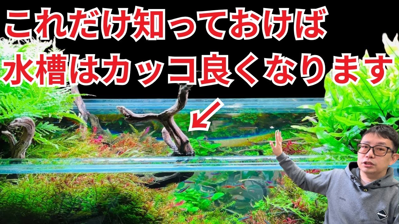 【目からうろこ】水槽のレイアウトに自信がなくても、カッコ良く作る技を教えます