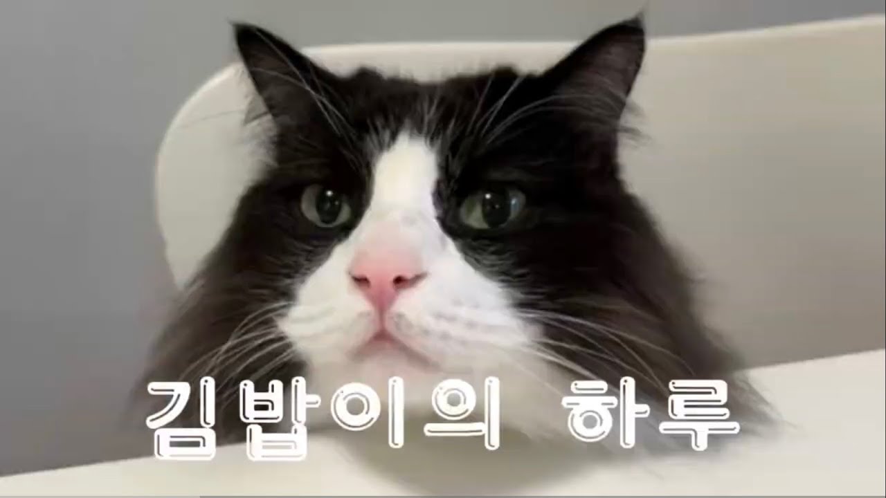 '우주 라면' 먹방