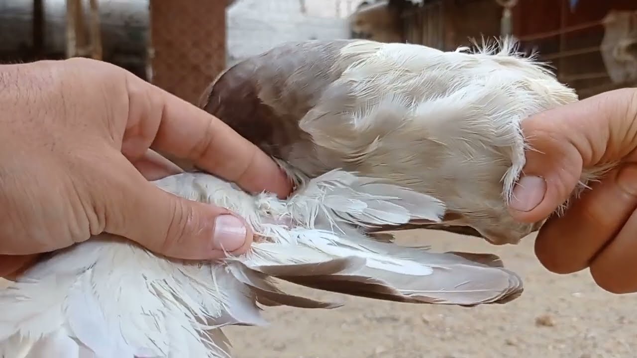١٣ أكتوبر ٢٠٢٣