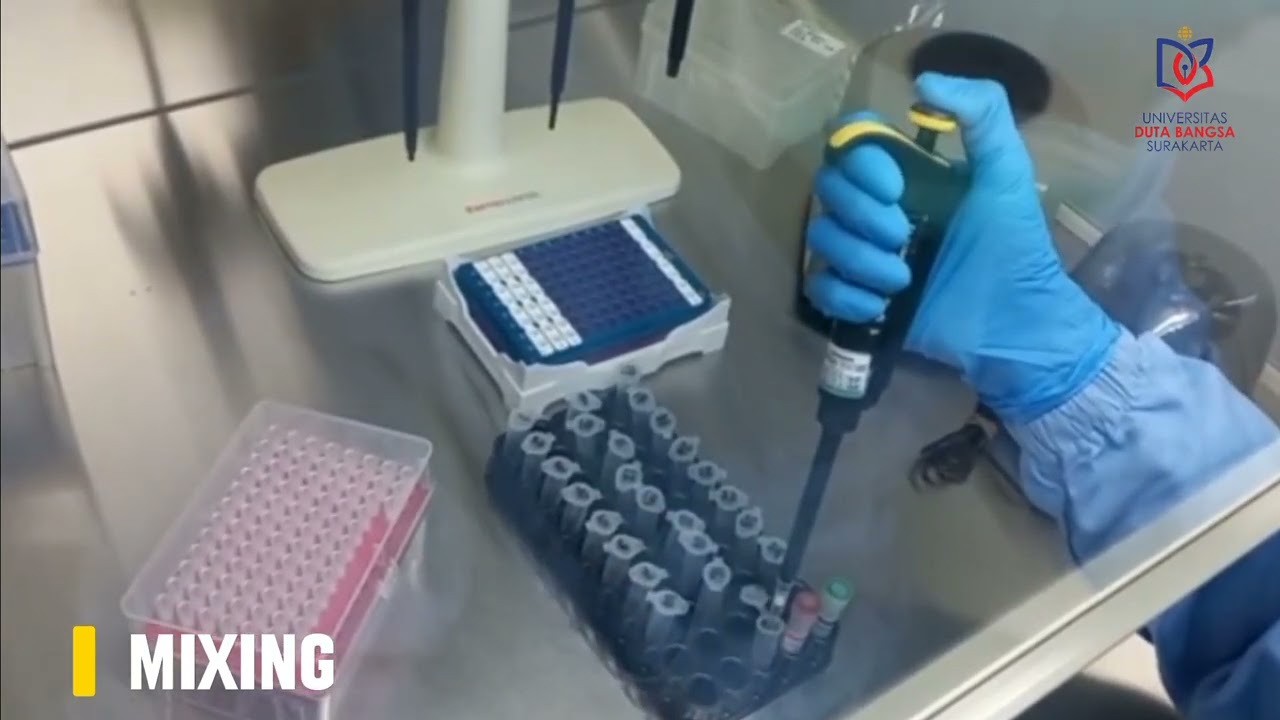 Pemeriksaan PCR Deteksi HPV DNA | Prinsip dan Gambaran Pemeriksaan