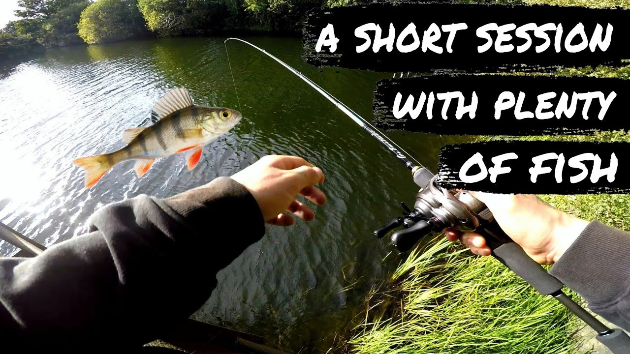 SPOT HOPPING for small PERCH on the BFS outfit