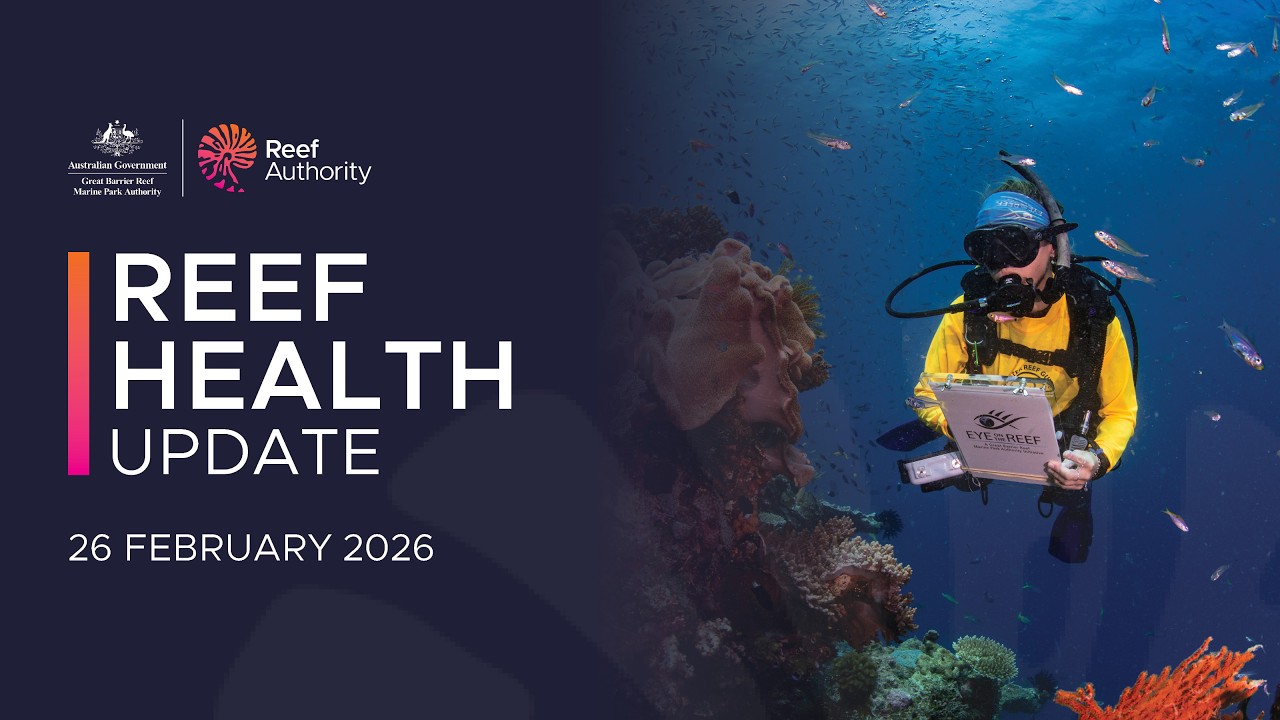 Reef health update – 26 February 2026