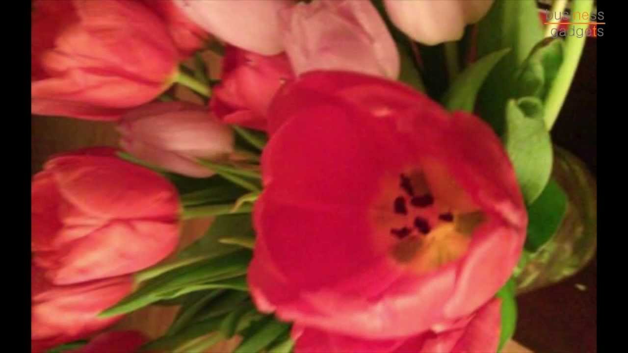 Camera Test of the LG G Pad 8.3