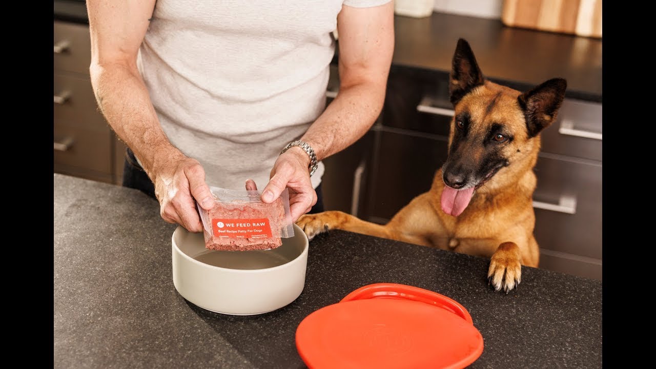 Can A Raw Diet Increase Your Dog's Lifespan? | We Feed Raw