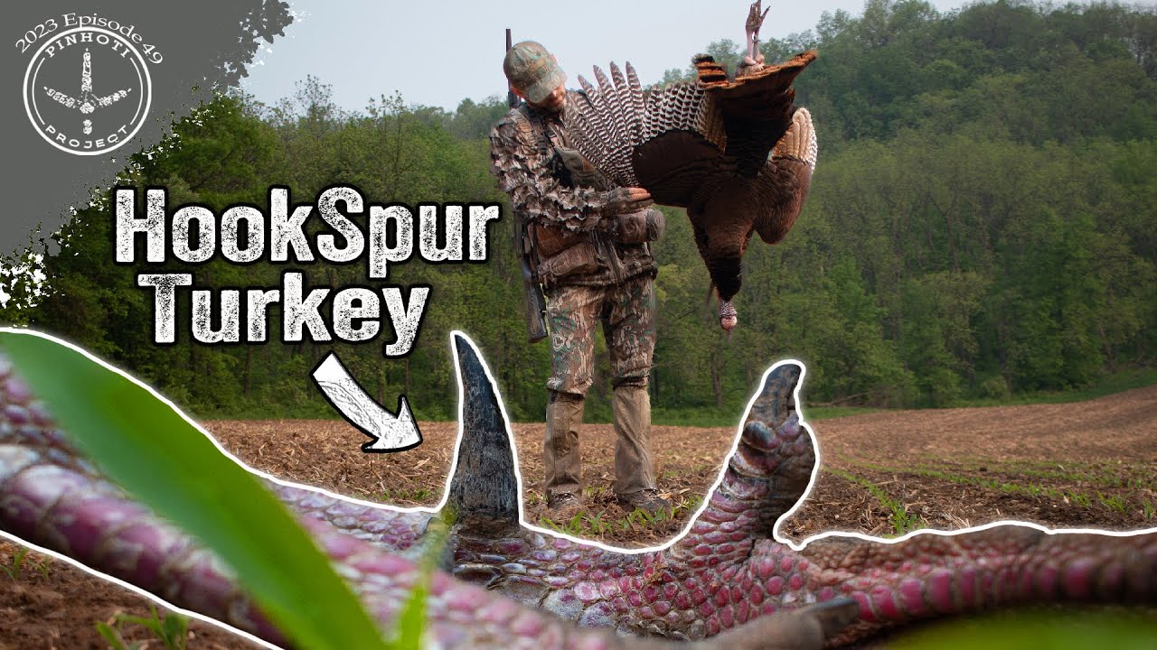 GOBBLER BREATHES DOWN MY NECK | SPITTING DISTANCE LONGBEARD | CRAZY CLOSE RANGE GOBBLING- Pinhoti