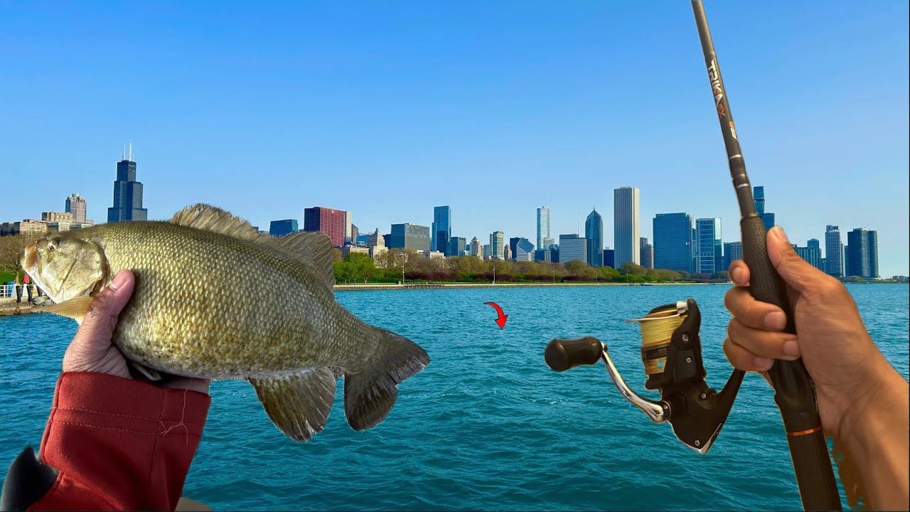 Urban Smallmouth Fishing in Downtown Chicago! (UNEXPECTED CATCH!)