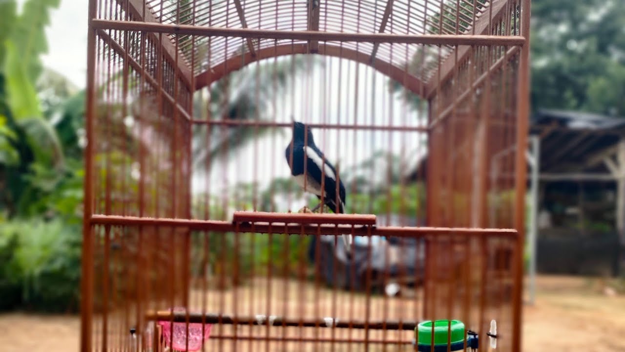 CARA SAYA MENGKONDISIKAN KACER BAHAN YANG BARU DAPAT UNTUK PEMAHAMAN KARAKTER DASAR