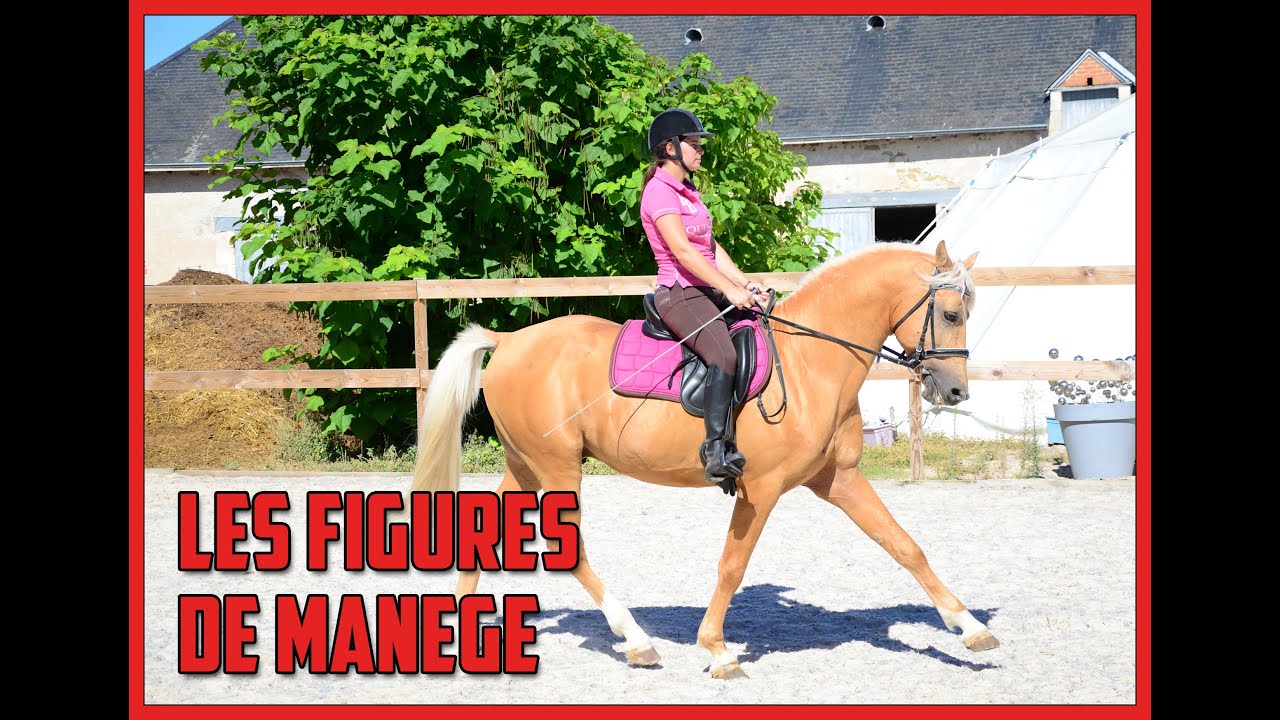 [GALOPS 3 & 4] LES FIGURES DE MANEGE