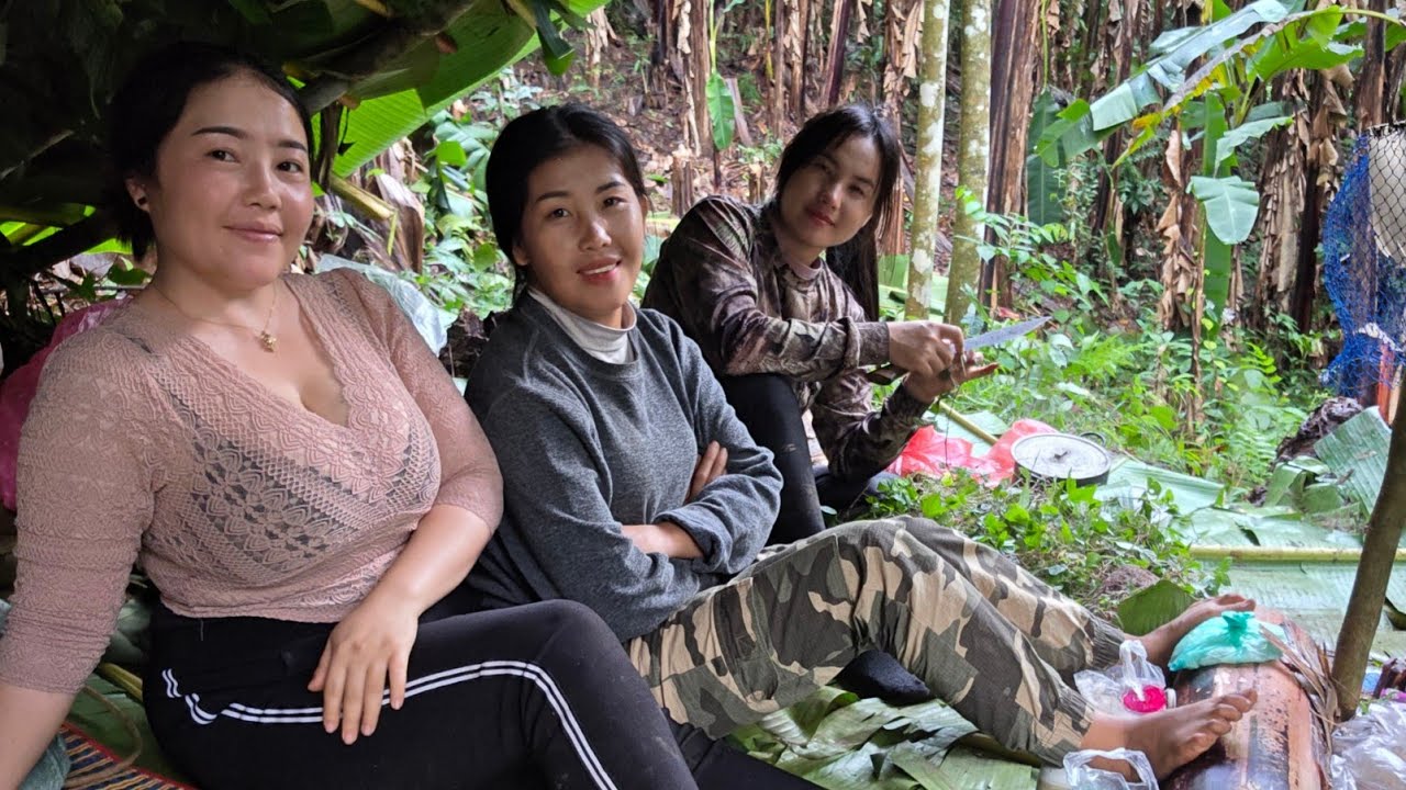 Peb ua ke mu mu tua na /11/9/2025