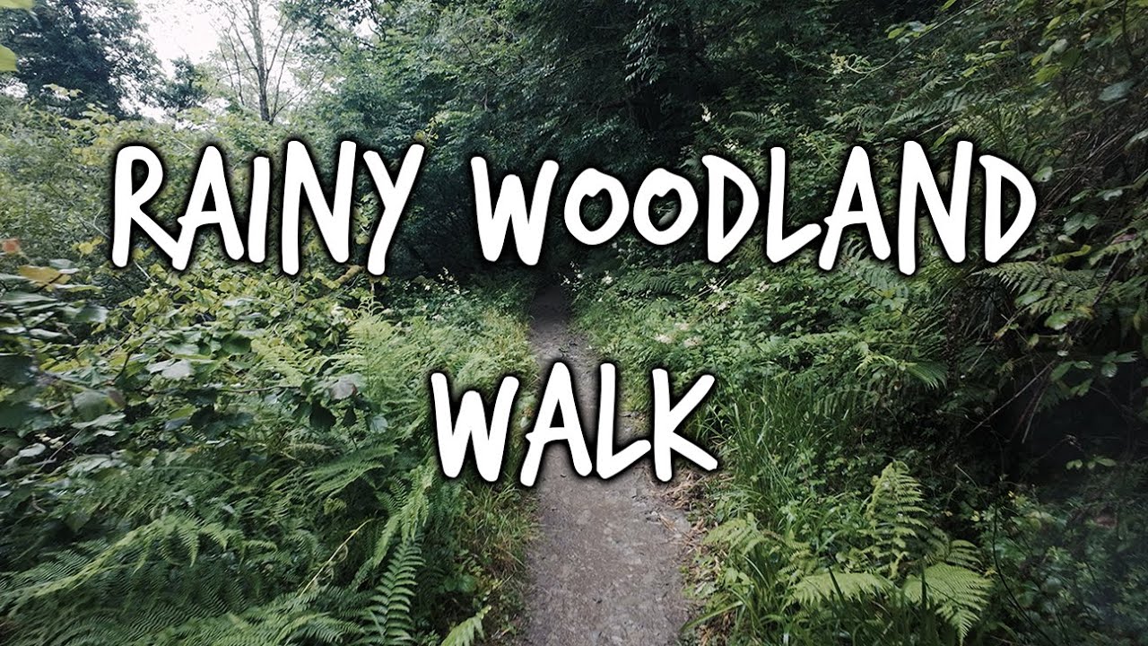 RAINY WOODLAND WALK IN DARTMOOR