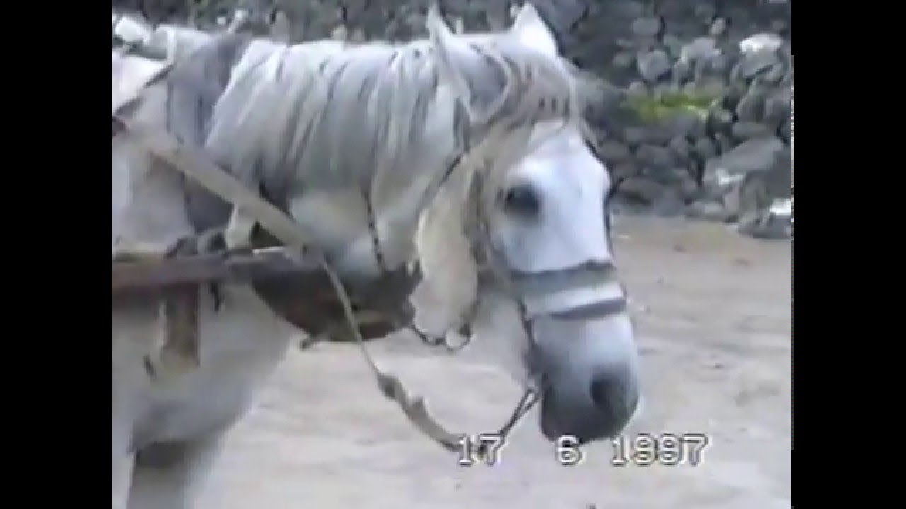 PELDİRVAN KÖYÜ VE KIRKBULAK
