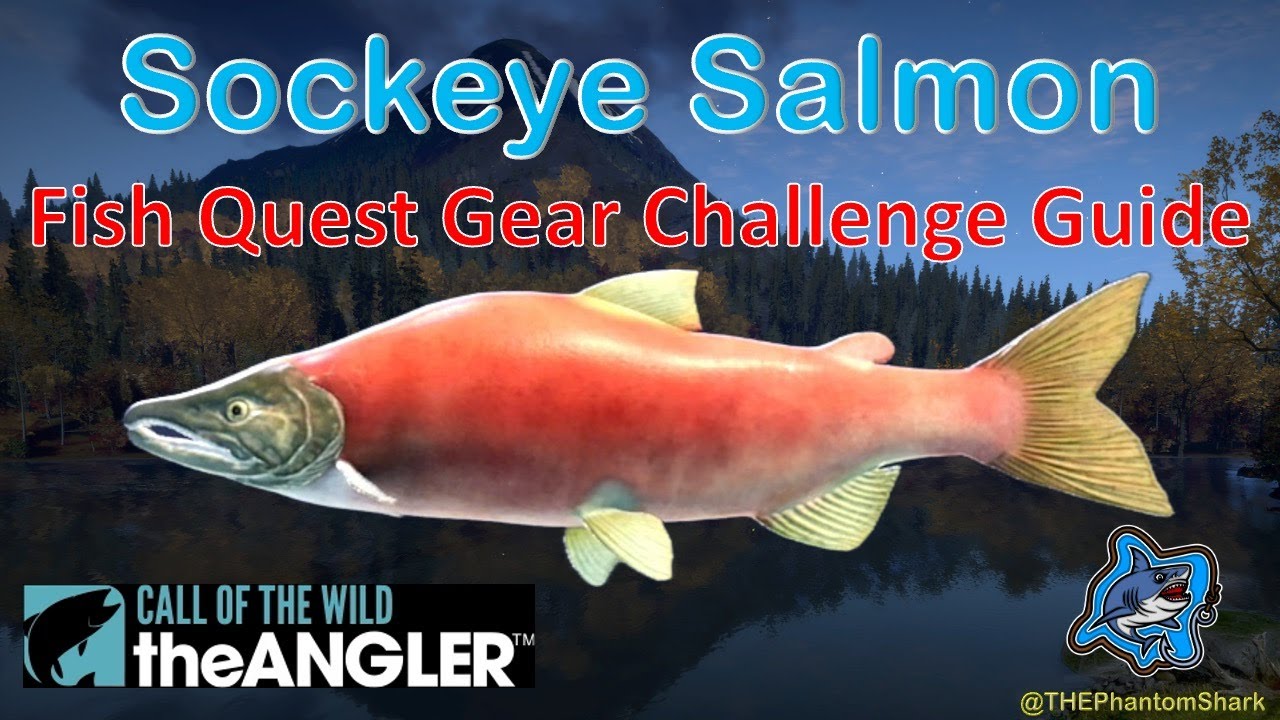 Руководство по поиску нерки в японском заповеднике Камуибецу в игре Call of the Wild: The Angler.