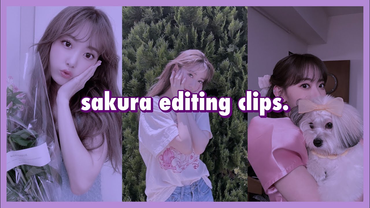 le sserafim/iz*one sakura clips