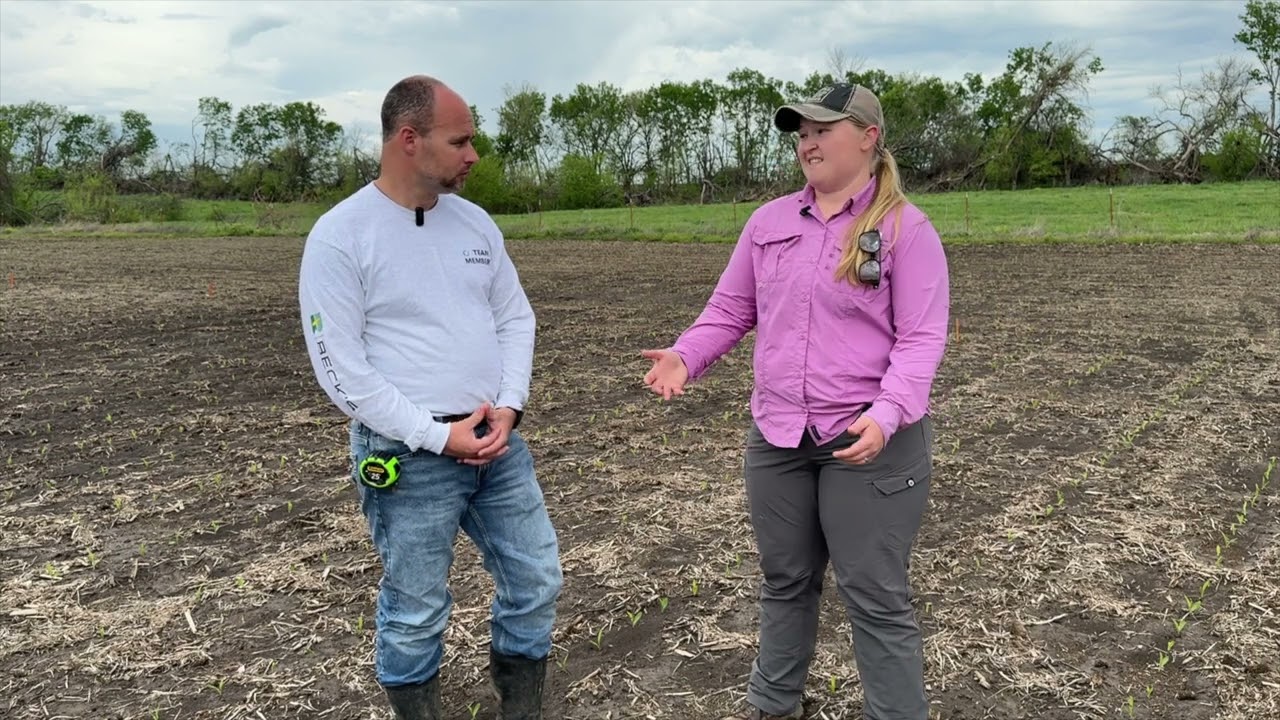 Corn reminders on nitrogen, weeds, and diseases | April 2025 Update in the Field