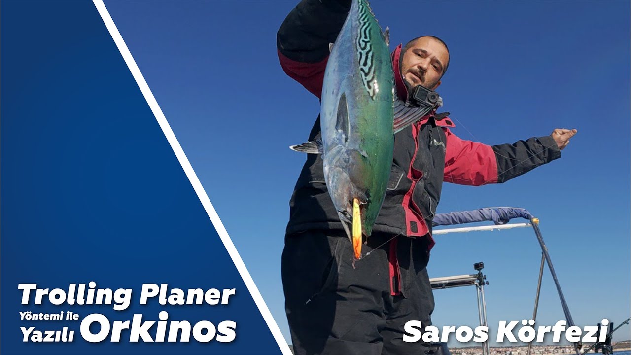 Trolling Planer ile Yazılı Orkinos avı / Saros Körfezi / Yayla Sahili / Keşan / Edirne / Sırtı avı
