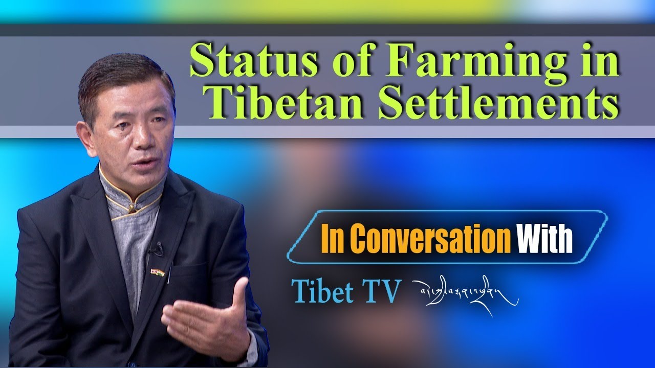 Status of Farming in Tibetan Settlements